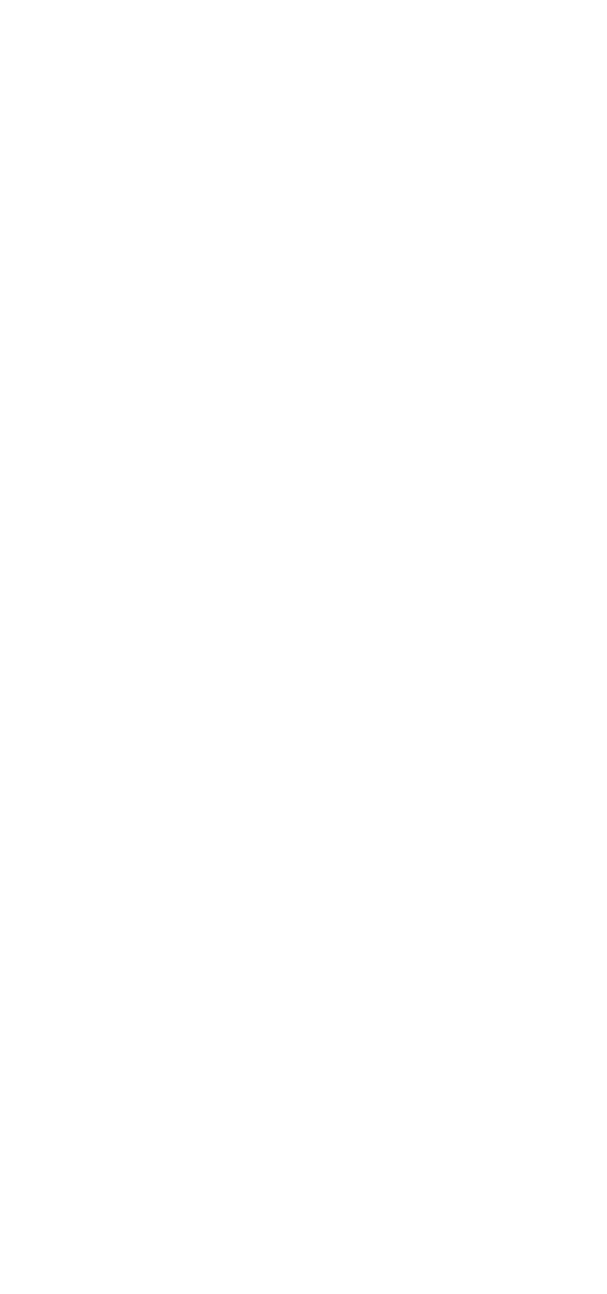 SNFlOGO